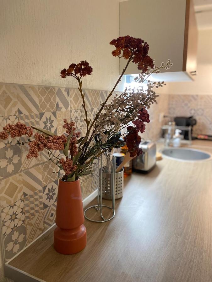 Les Cosy De Nancy - Le Duplex Vintage 4* Apartment Bagian luar foto